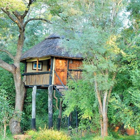 Ivory Lodge Dete Buitenkant foto