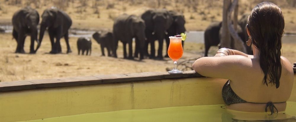 Ivory Lodge Dete Buitenkant foto