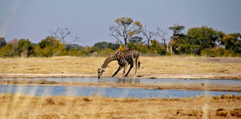 Ivory Lodge Dete Buitenkant foto