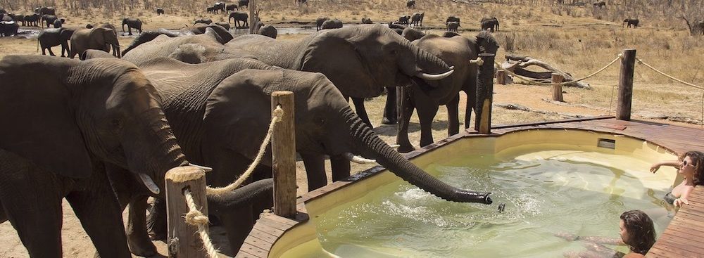 Ivory Lodge Dete Buitenkant foto