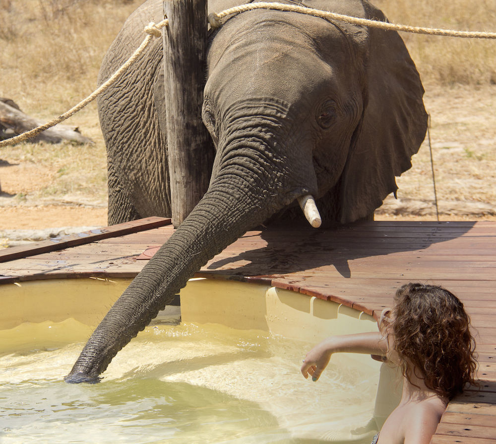 Ivory Lodge Dete Buitenkant foto