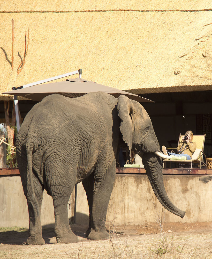 Ivory Lodge Dete Buitenkant foto