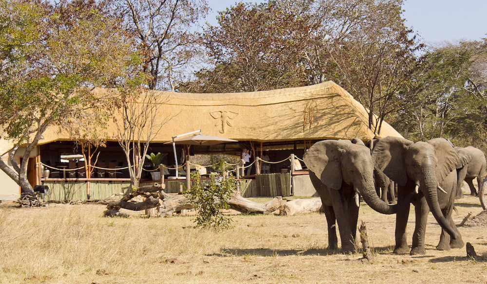 Ivory Lodge Dete Buitenkant foto